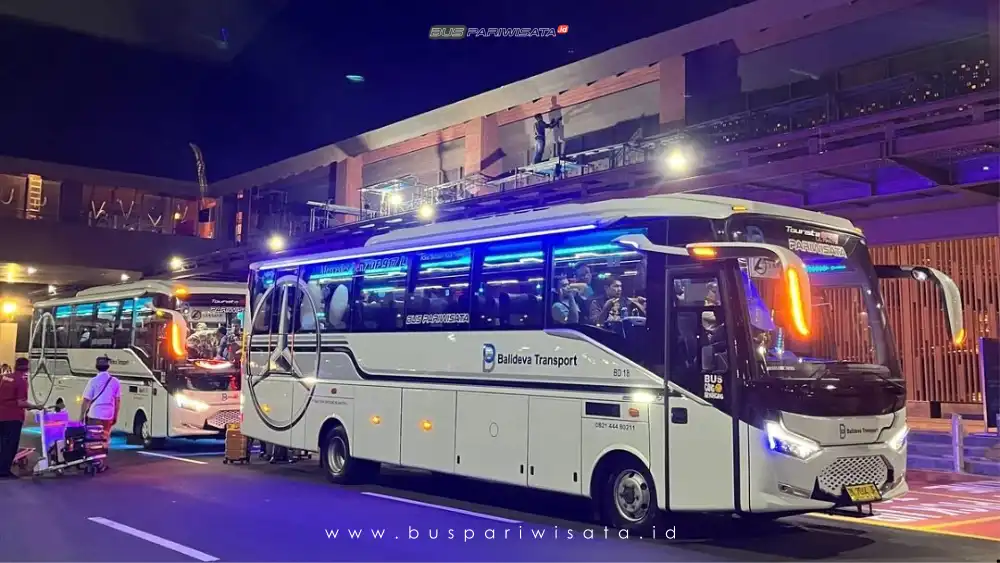 buspariwisata.id - foto medium bus pariwisata balideva transport d