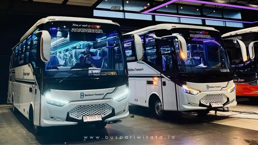buspariwisata.id - foto medium bus pariwisata balideva transport e