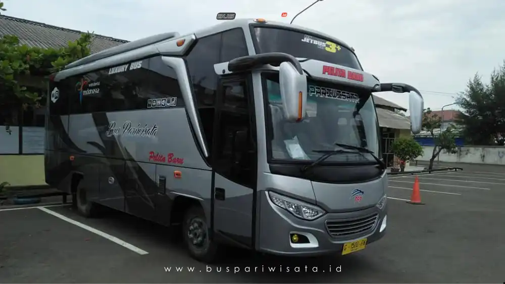 buspariwisata.id – foto bus pariwisata pelita baru g