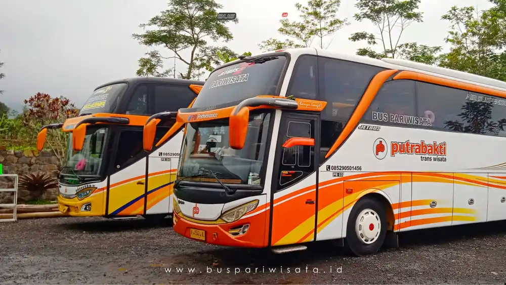 buspriwisata.id – foto bus pariwisata putra bakti c