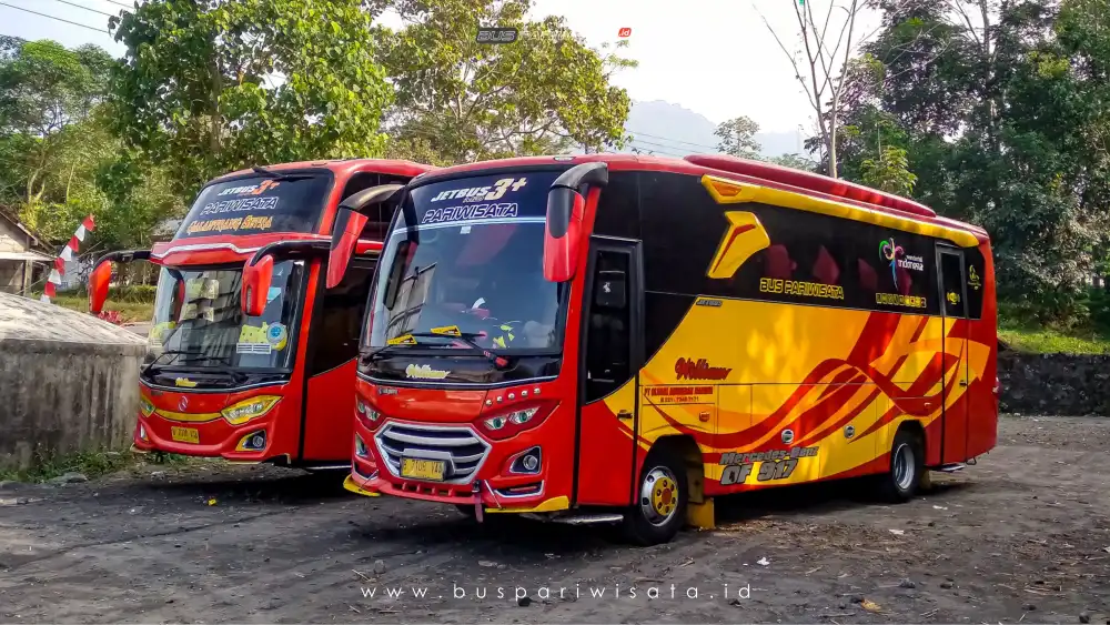 buspariwisata.id – foto bus pariwisata william d