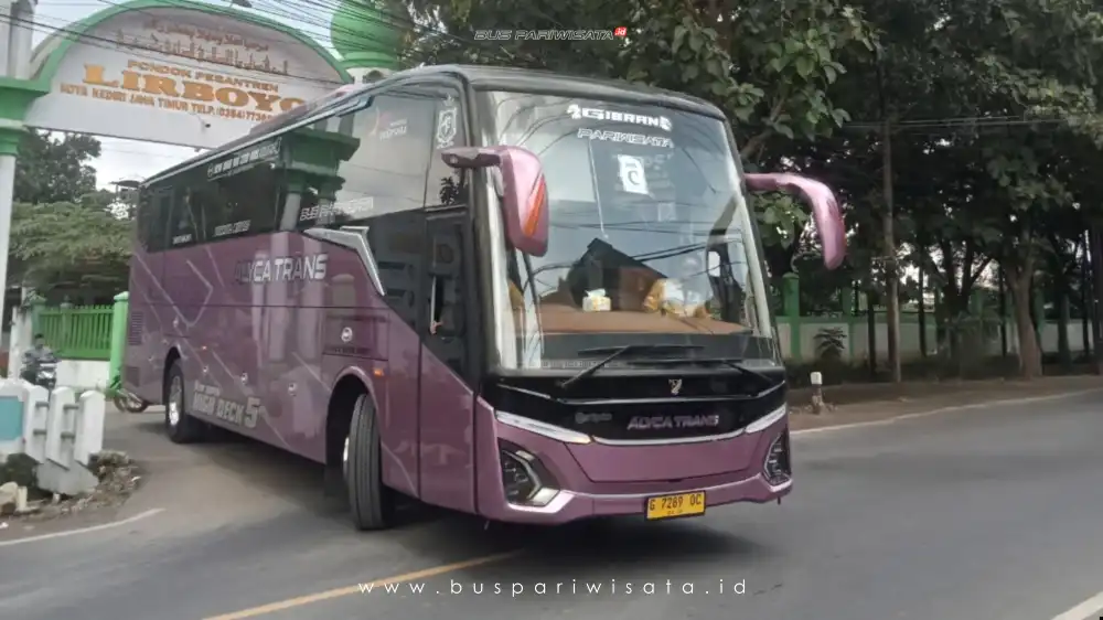 buspariwisata.id - foto bus pariwisata alyca trans c