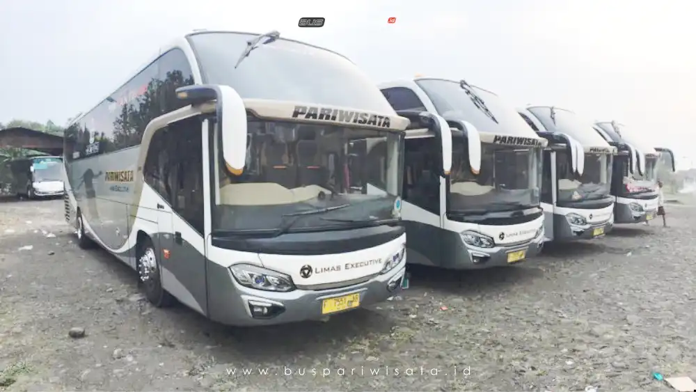buspariwisata.id – foto bus pariwisata limas c
