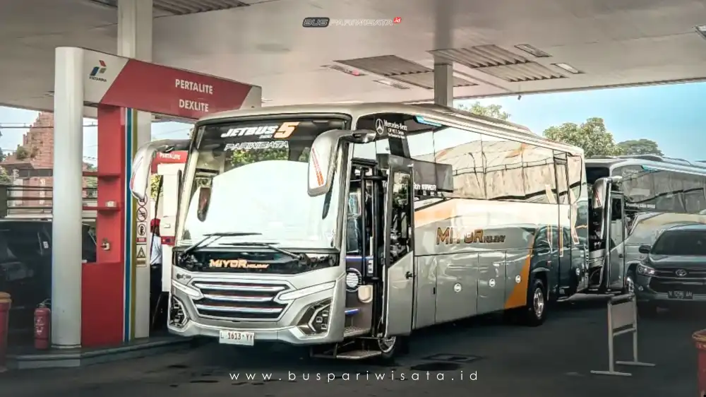 buspariwisata.id - foto bus pariwisata miyor holiday d
