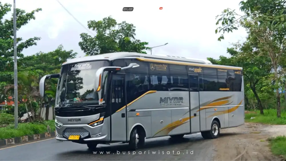 buspariwisata.id - foto bus pariwisata miyor holiday f
