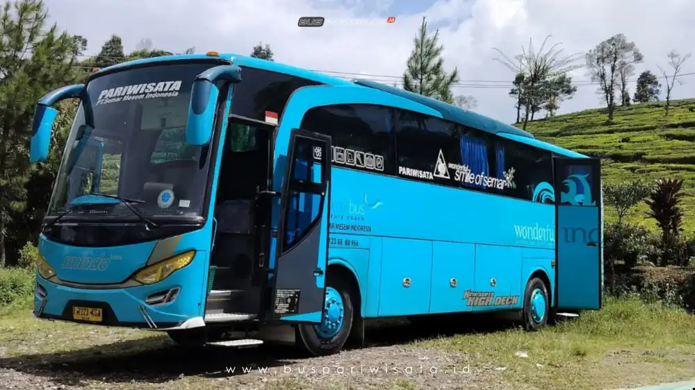 buspariwisata.id – foto bus pariwisata piknik bus a