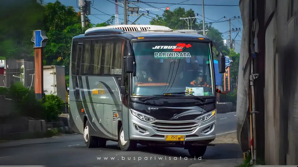 buspariwisata.id - foto bus pariwisata premium passion d