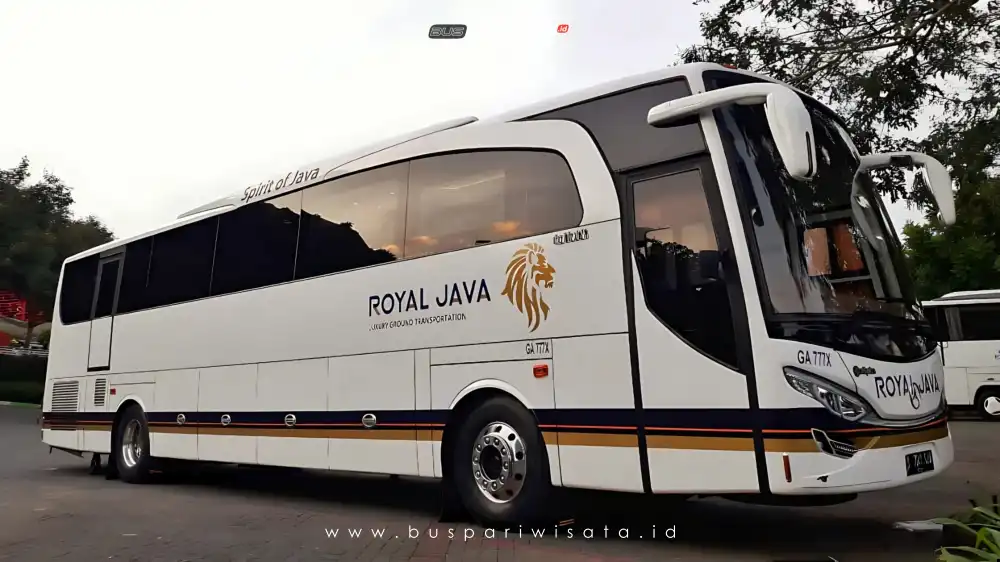 buspariwisata.id - foto bus pariwisata royal java d