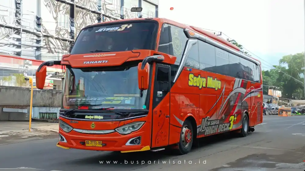 buspariwisata.id - foto bus pariwisata sedya mulya b