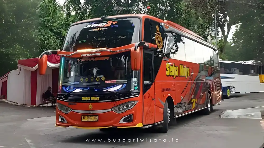 buspariwisata.id - foto bus pariwisata sedya mulya f