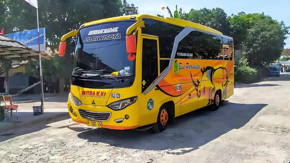 buspriwisata.id – foto bus pariwisata putra kju f
