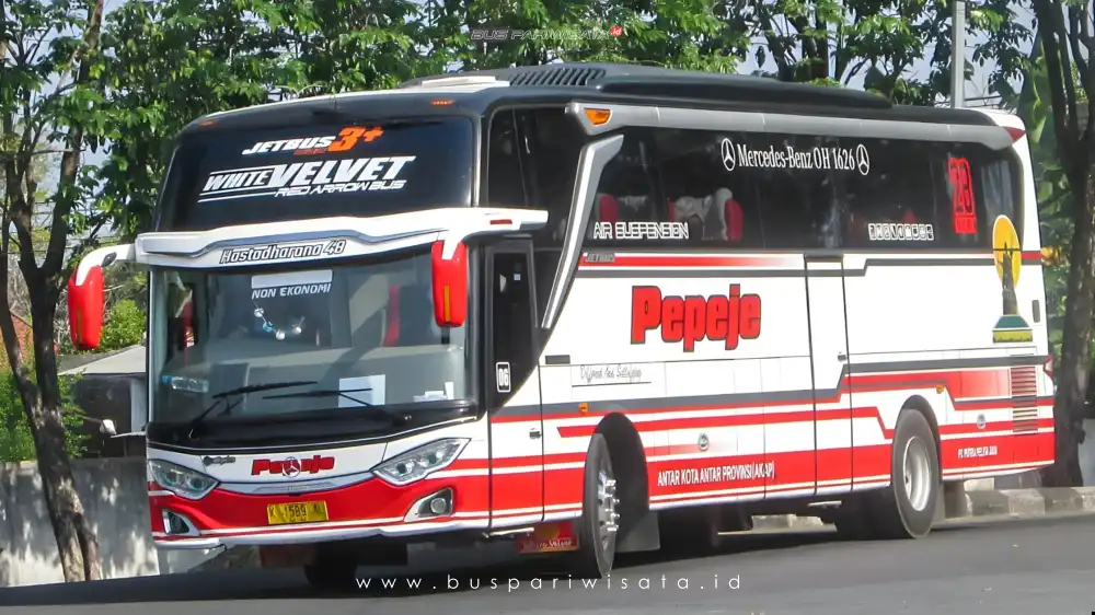 buspriwisata.id – foto bus pariwisata putra pelita jaya b