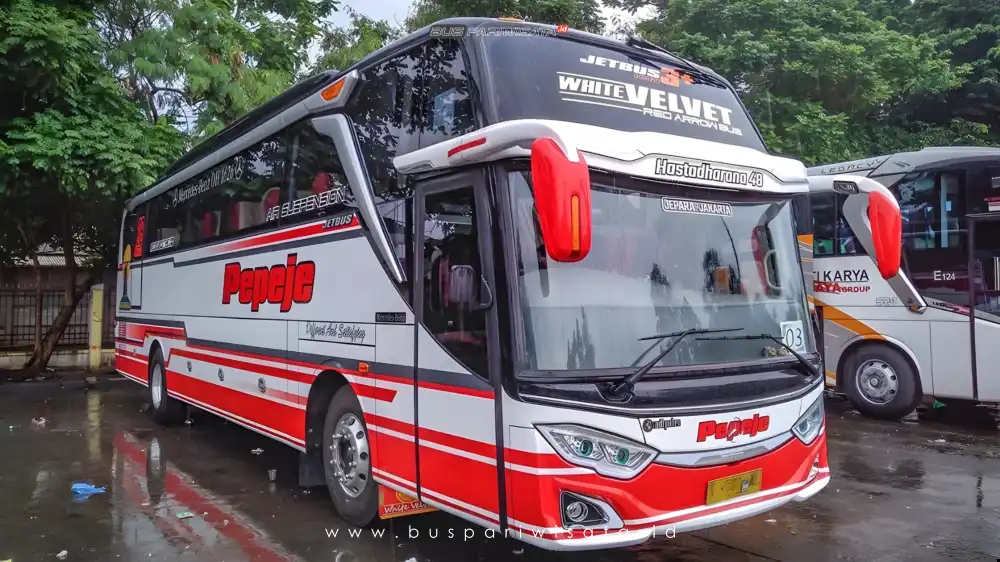 buspriwisata.id - foto bus pariwisata putra pelita jaya f