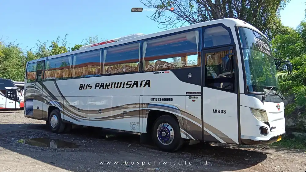 buspariwisata.id - foto bus pariwisata akas mila sejahtera c
