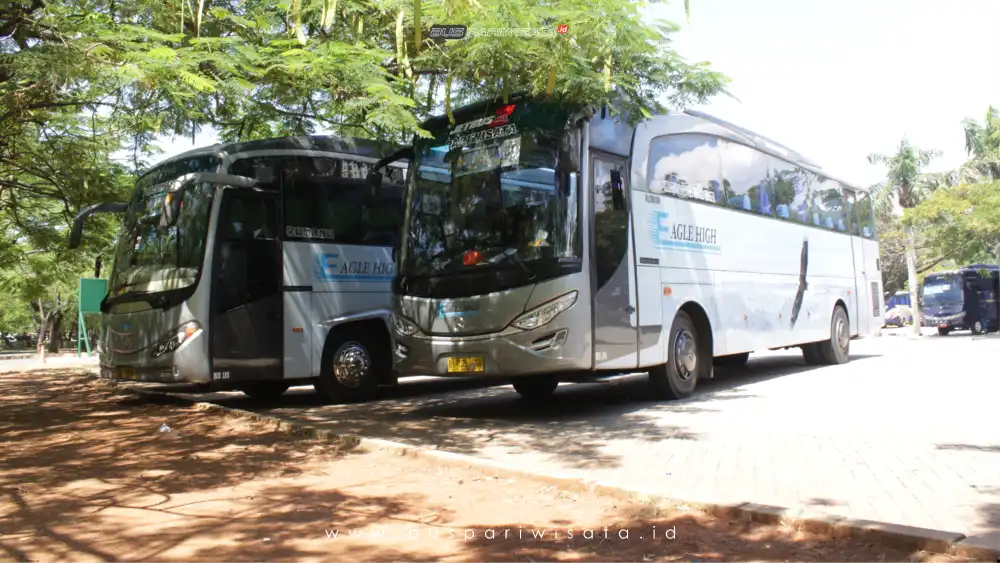 buspariwisata.id - foto bus pariwisata eagle high a