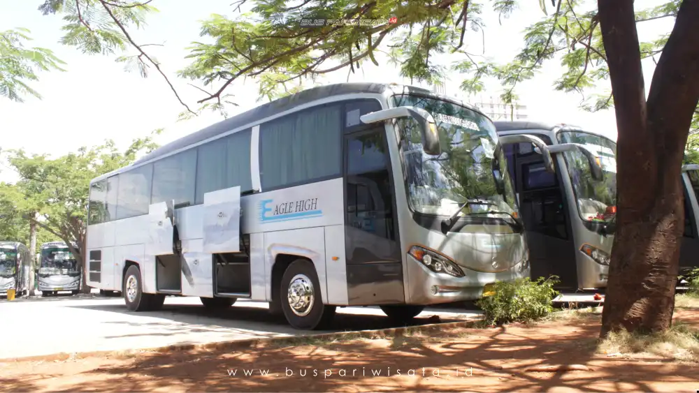 buspariwisata.id - foto bus pariwisata eagle high b