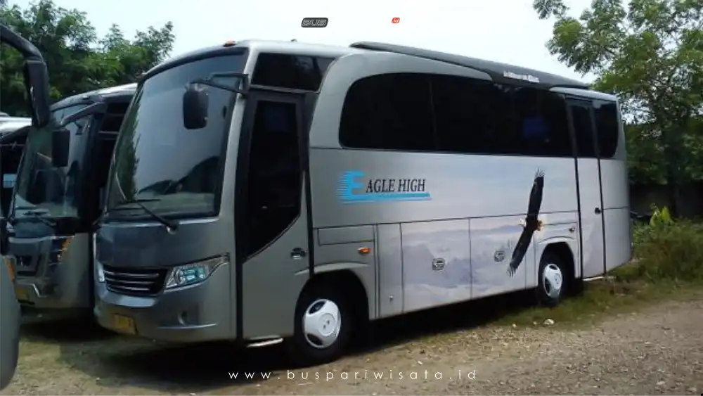 buspariwisata.id - foto bus pariwisata eagle high e
