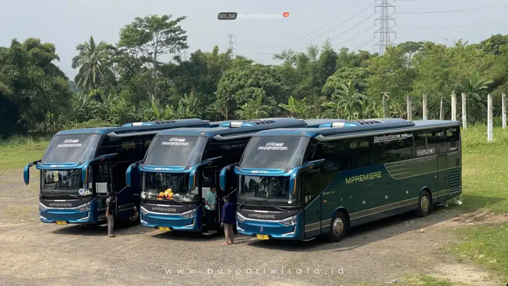 buspariwisata.id - foto bus pariwisata mpremiere e