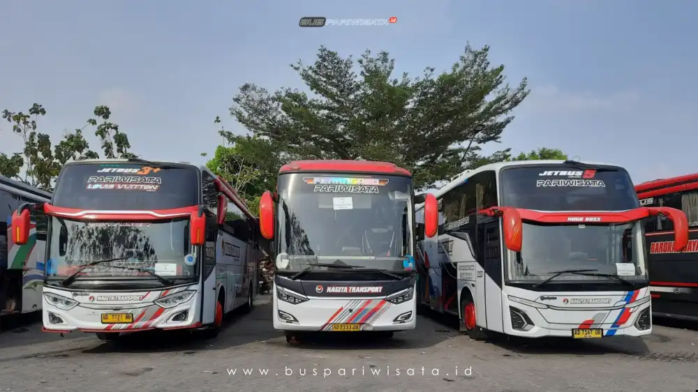 buspariwisata.id - foto bus pariwisata nagita transport c