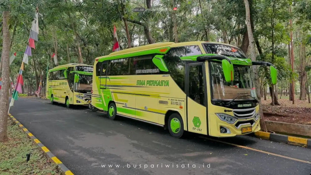 buspariwisata.id - foto bus pariwisata sima perkasya g