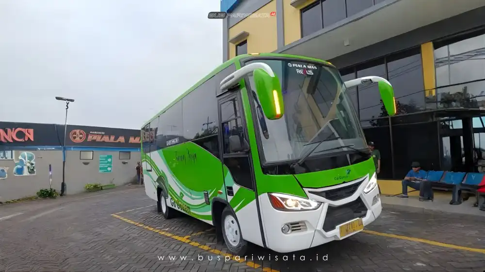 buspariwisata.id – foto bus pariwisata tenang jaya d