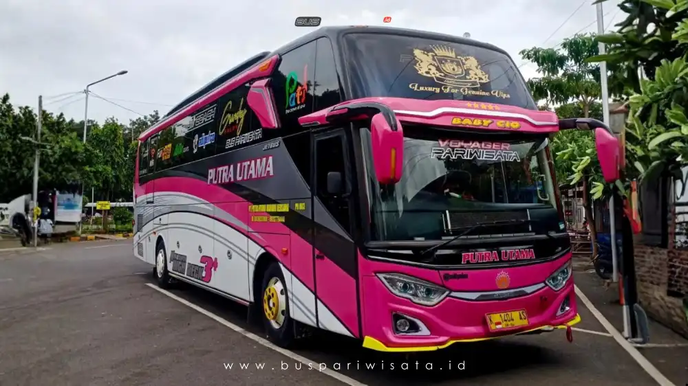 buspariwisata.id – foto bus pariwisata putra utama b