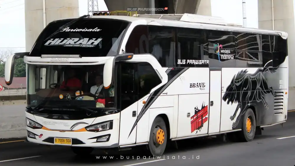 buspariwisata.id – foto bus pariwisata midas nusantara g