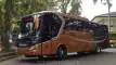 buspriwisata.id - foto bus pariwisata manhattan g