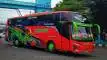 buspriwisata.id - foto bus pariwisata trans talia d