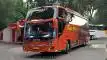 buspariwisata.id - foto bus pariwisata sedya mulya f