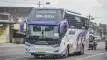 buspriwisata.id - foto bus pariwisata cinta bella c