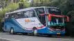 buspriwisata.id - foto bus pariwisata malika wisata f