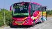 buspriwisata.id - foto bus pariwisata tiara trans f