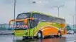 buspriwisata.id - foto bus pariwisata nila trans c