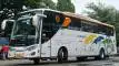 buspariwisata.id - foto bus pariwisata metropolitan d