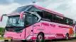 buspariwisata.id - foto bus pariwisata rimba raya g