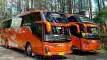 buspariwisata.id - foto bus pariwisata bris trans f