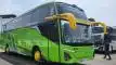 buspriwisata.id - foto bus pariwisata duta prima b