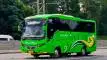 buspariwisata.id - foto bus pariwisata warga baru a