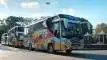 buspariwisata.id - foto medium bus pariwisata mata trans b