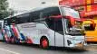 buspariwisata.id - foto bus pariwisata nagita transport k