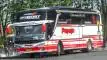 buspriwisata.id - foto bus pariwisata putra pelita jaya b