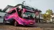 buspriwisata.id - foto bus pariwisata wardah trans h