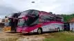 buspariwisata.id - foto bus pariwisata putra utama d