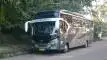 buspariwisata.id - foto medium bus pariwisata bin ilyas b