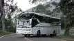 buspariwisata.id - foto bus pariwisata balideva transport c