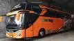 buspriwisata.id - foto bus pariwisata buah hijau trans h