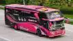 buspariwisata.id - foto bus pariwisata abisatya d