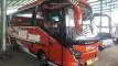 buspariwisata.id - foto bus pariwisata bris trans d