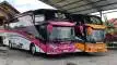 buspariwisata.id - foto bus pariwisata putra utama e
